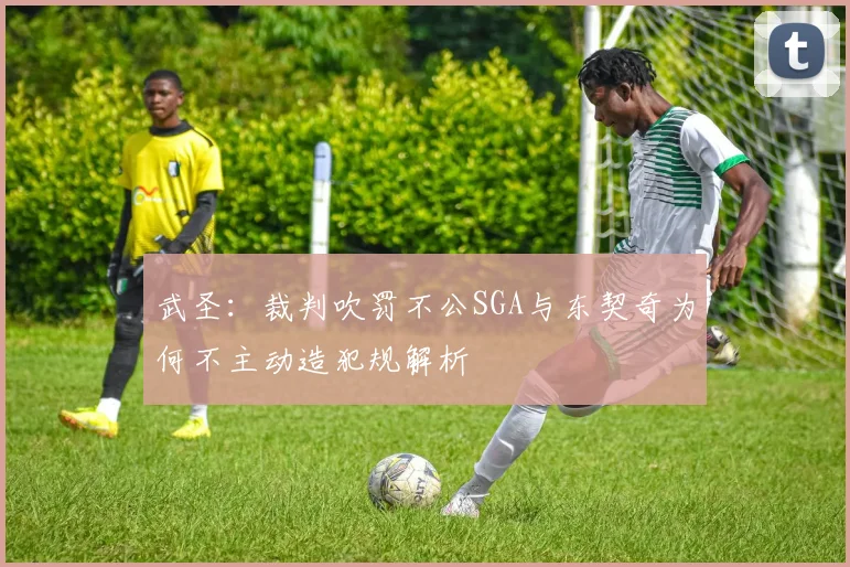 武圣：裁判吹罚不公SGA与东契奇为何不主动造犯规解析